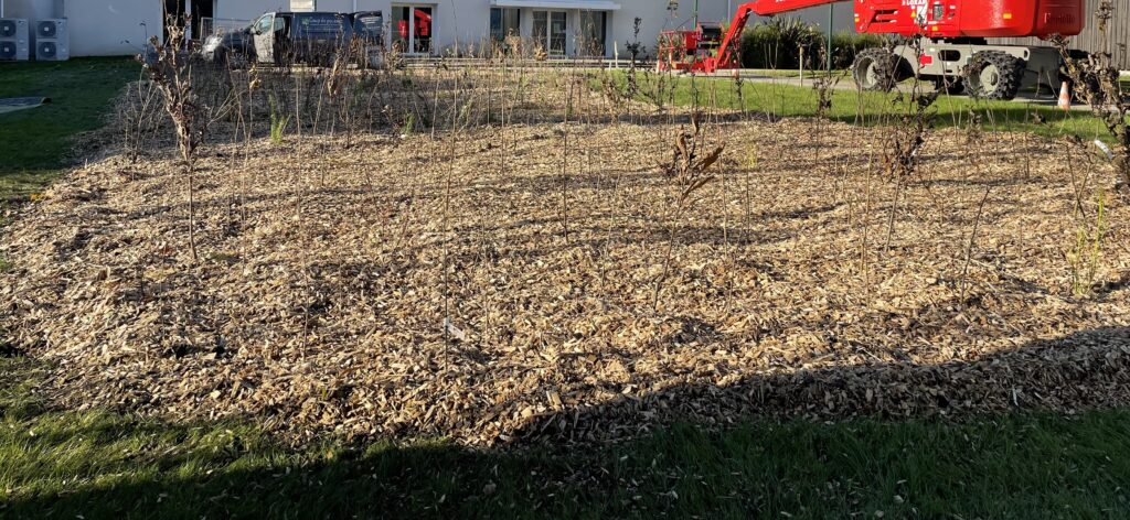 Plantation entreprise
