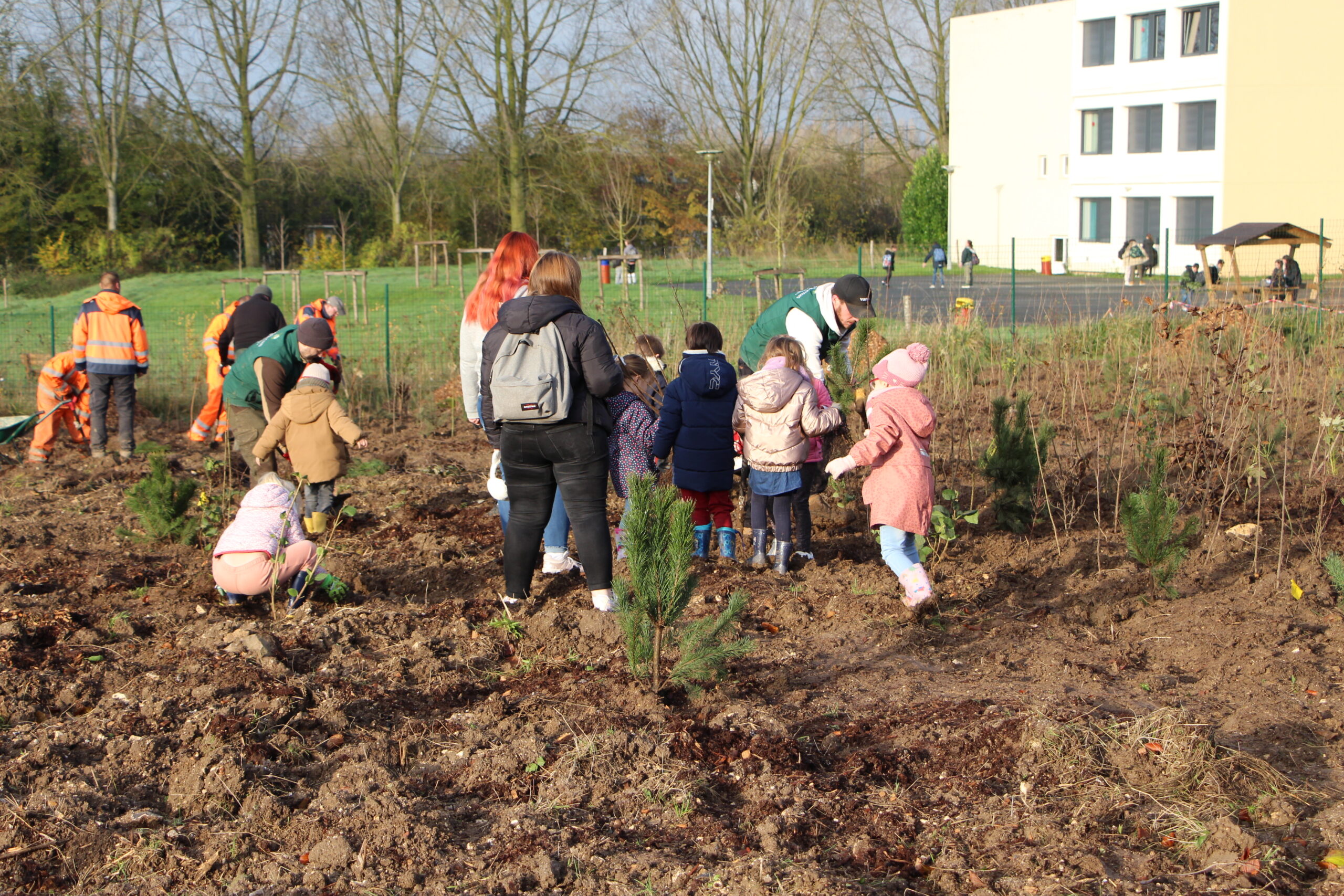 Planter abres citoyen