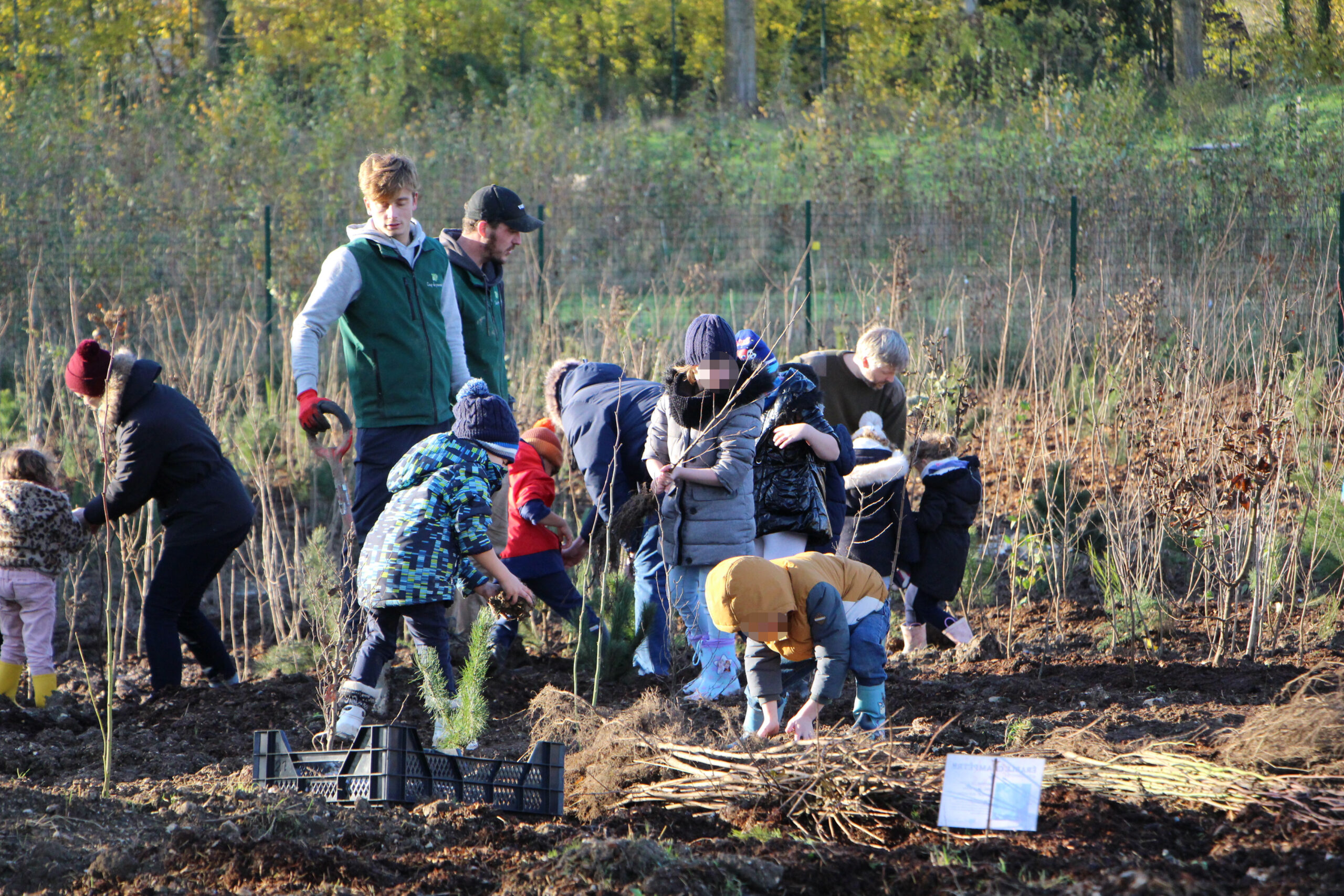 Plantation collaborative enfants